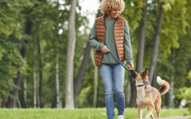 Dogpoint_HondenCoaching_Actiefmetjehond1
